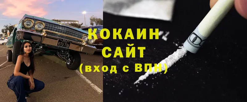 цены   Фёдоровский  Cocaine 98% 